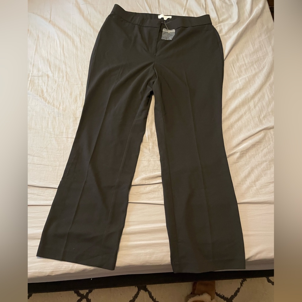 Lark & Ro Amazon - Dress Pants - Size 12 Short